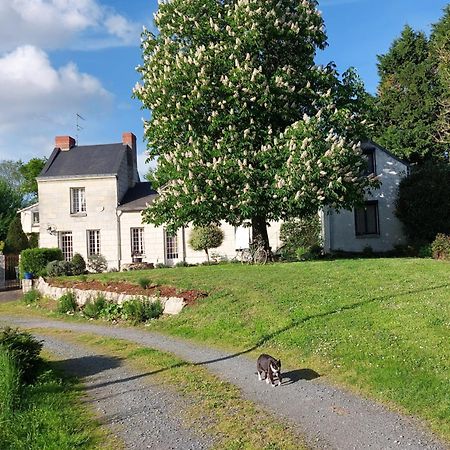 Chambres D'Hotes De L'Ile Du Saule 索米尔 外观 照片