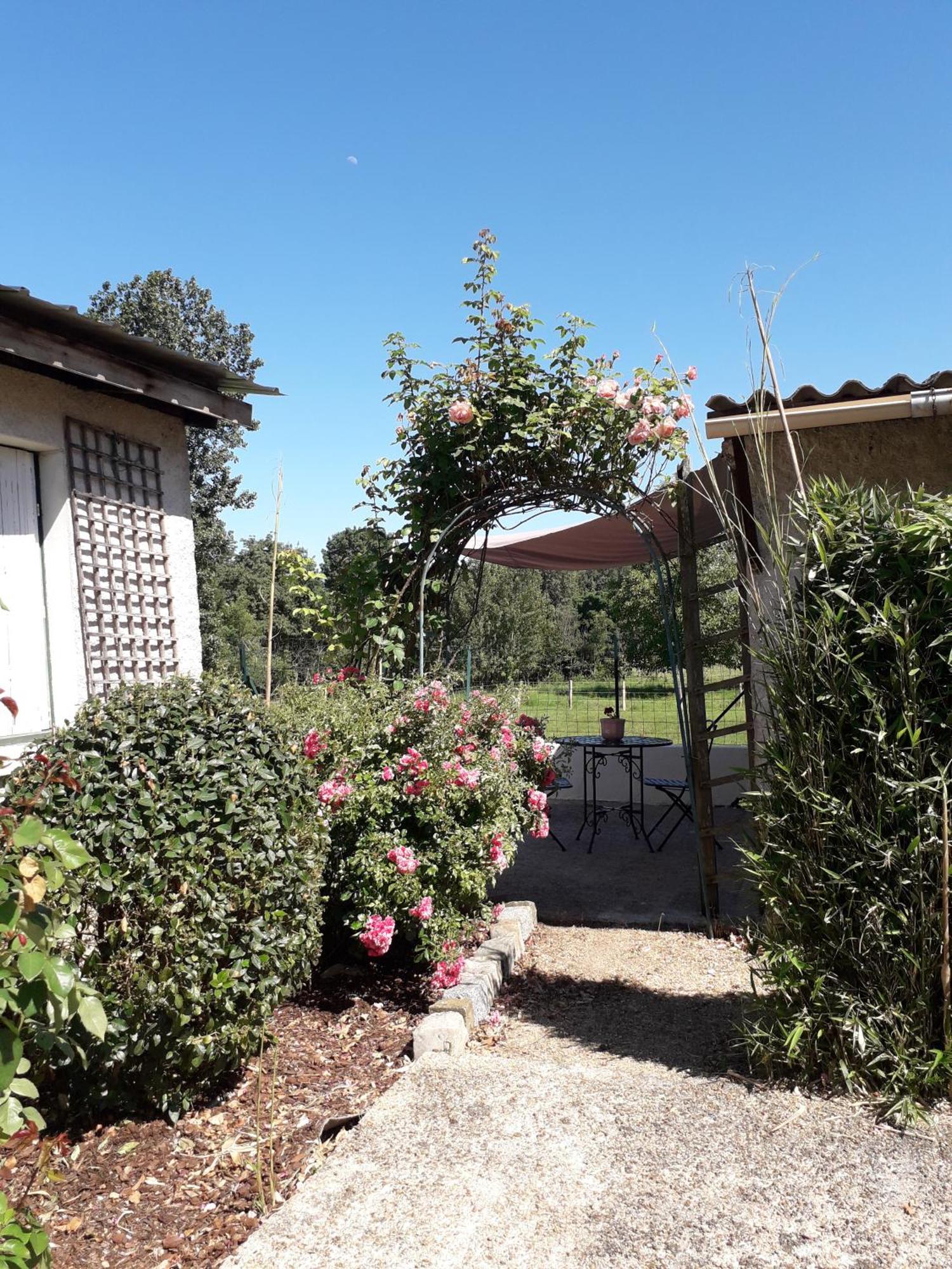 Chambres D'Hotes De L'Ile Du Saule 索米尔 外观 照片