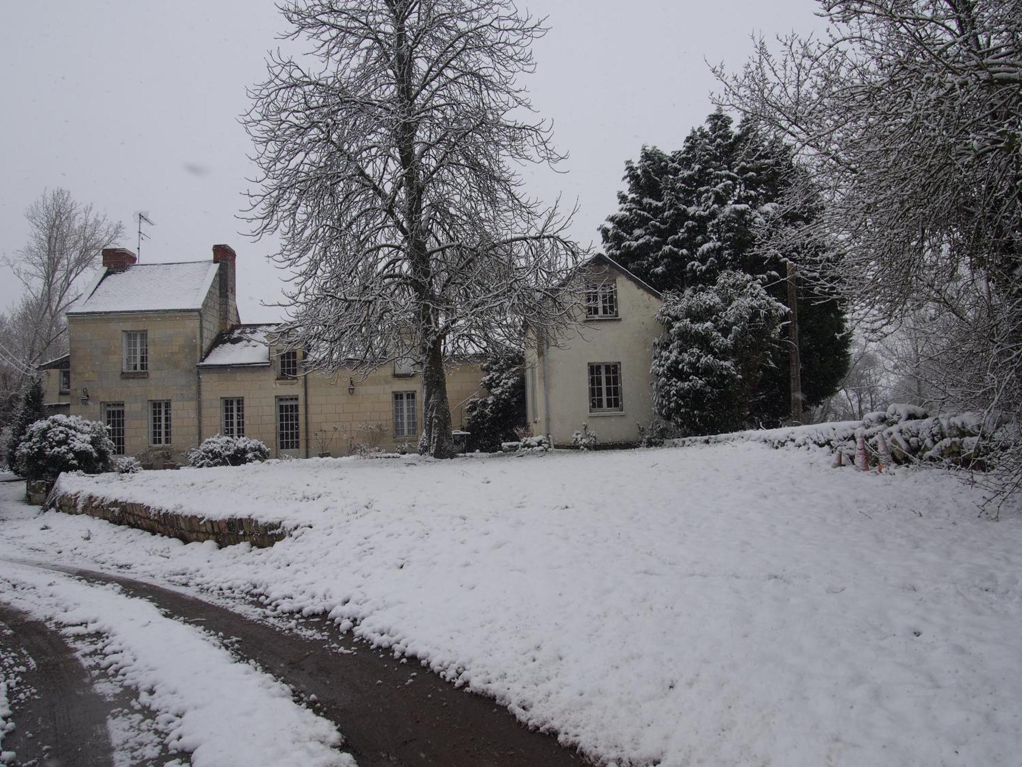 Chambres D'Hotes De L'Ile Du Saule 索米尔 外观 照片