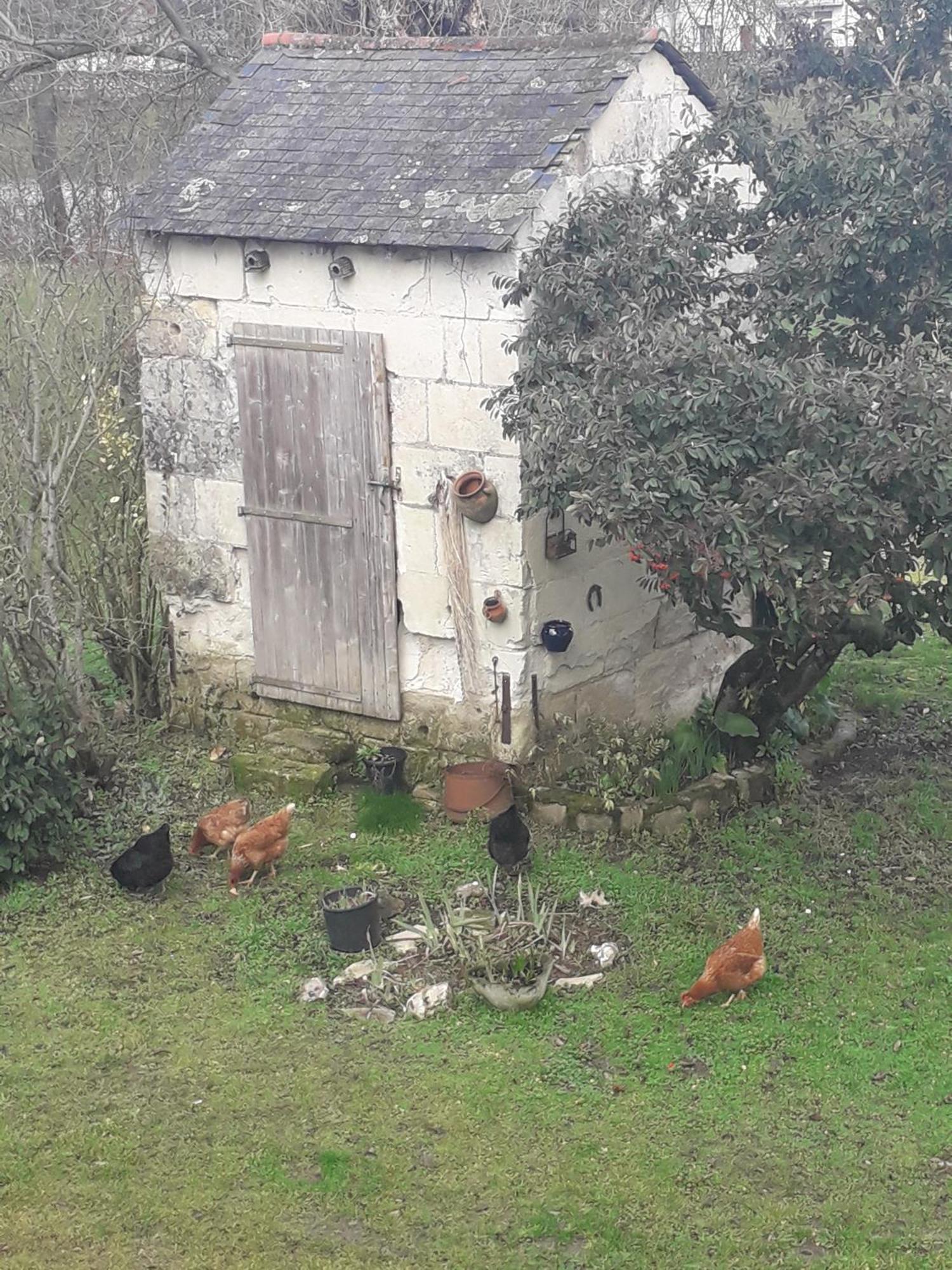 Chambres D'Hotes De L'Ile Du Saule 索米尔 外观 照片